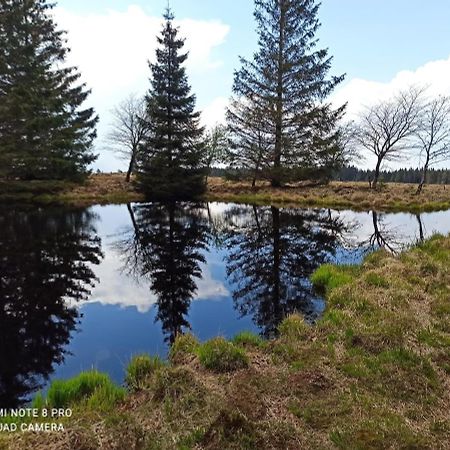 Вилла La Mignonne Des Fagnes Мальмеди Экстерьер фото