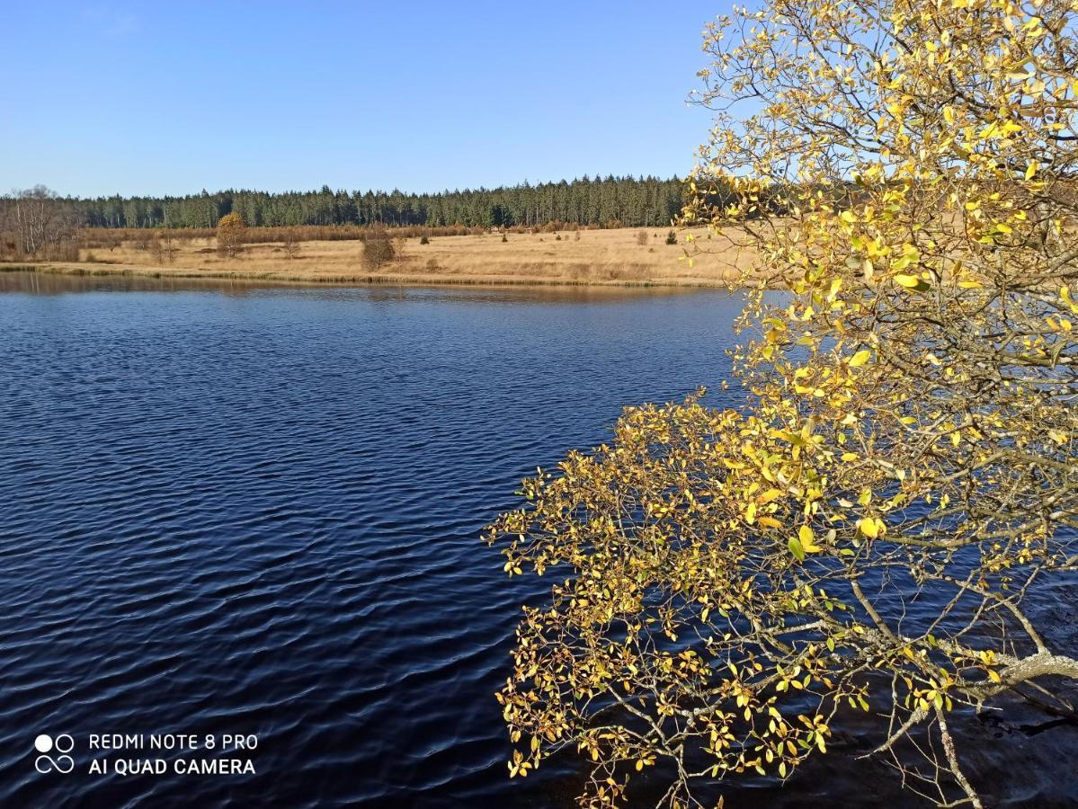 Вилла La Mignonne Des Fagnes Мальмеди Экстерьер фото