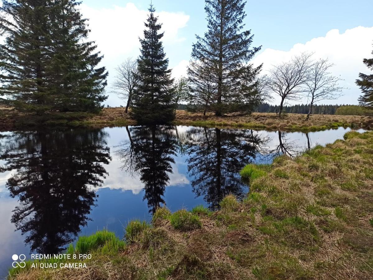 Вилла La Mignonne Des Fagnes Мальмеди Экстерьер фото