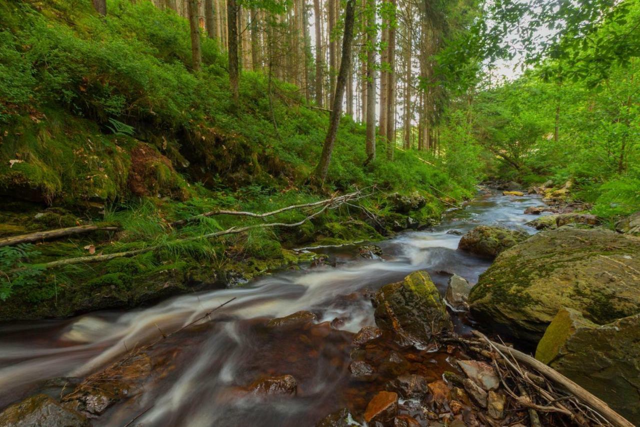 Вилла La Mignonne Des Fagnes Мальмеди Экстерьер фото