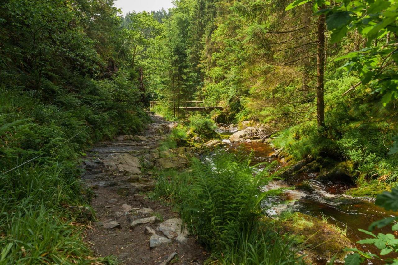 Вилла La Mignonne Des Fagnes Мальмеди Экстерьер фото